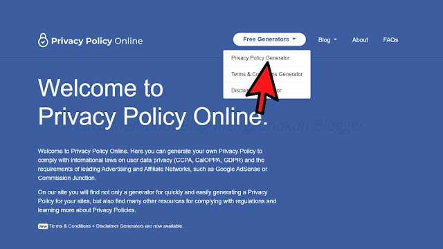 Privacy Policy 2