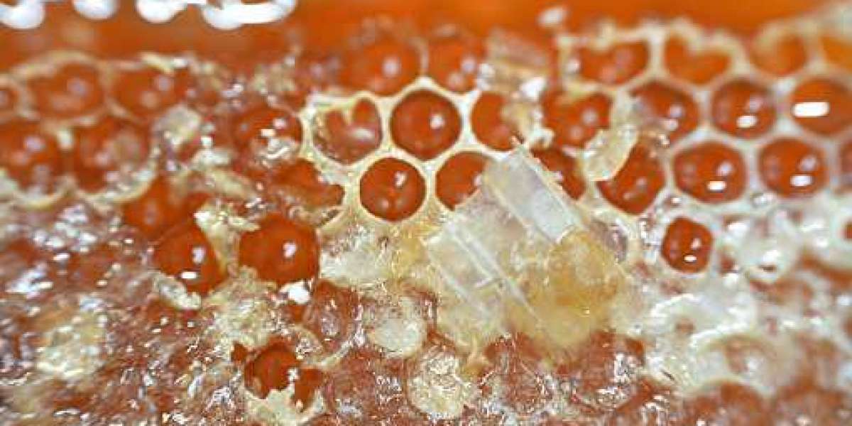 Egypt Honey Market Size Current Value, & Future Demand, Analysis, Growth & Forecast By 2030.