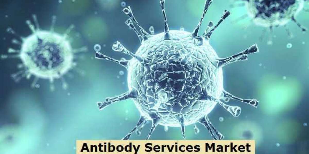 Antibody Services Market Size, Share, Business Opportunities, Challenges, Drivers by 2028