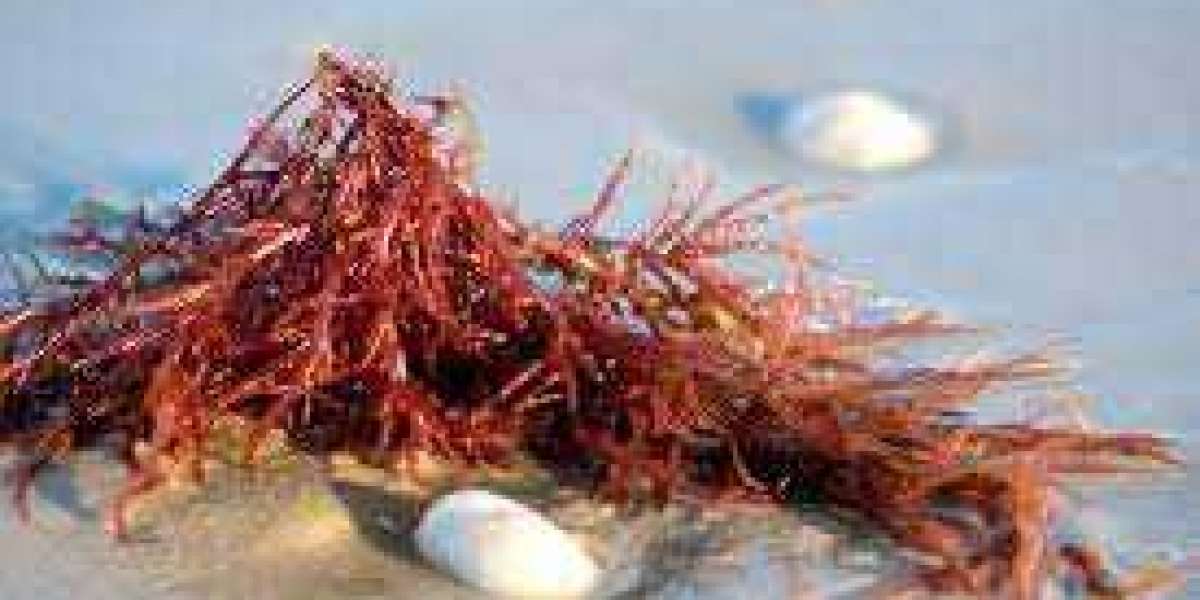 Carrageenan for Kappa Market Growth, Development Factors and Forecast 2027