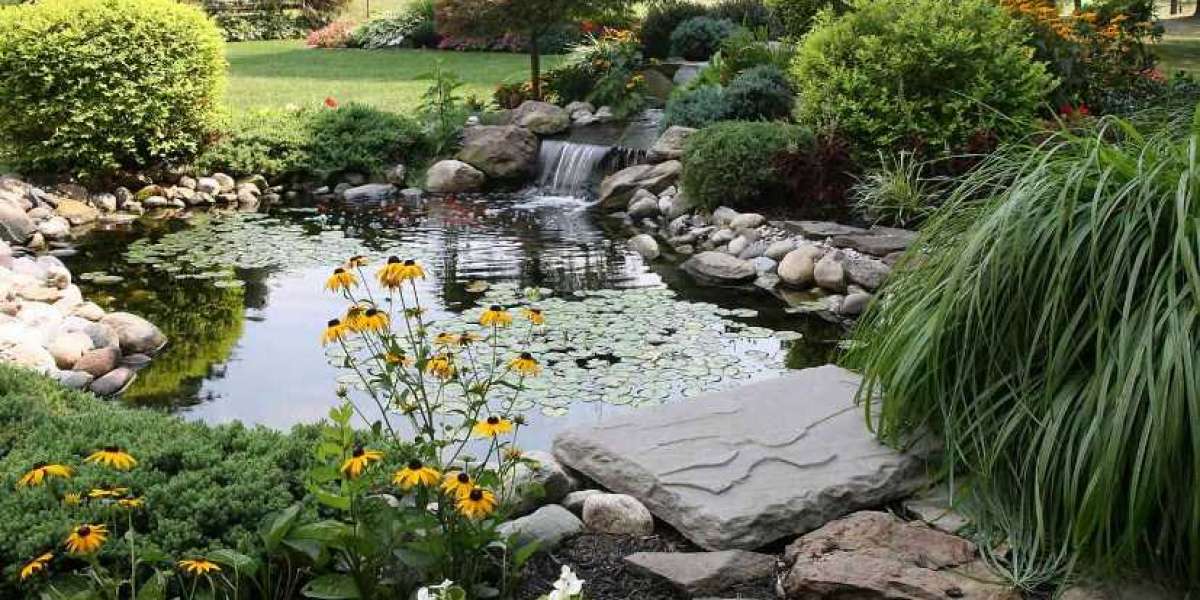 The Ultimate Guide to Building and Maintaining a Pond in Your San Diego Garden
