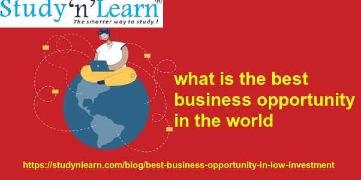 what is the best business opportunity in the world
