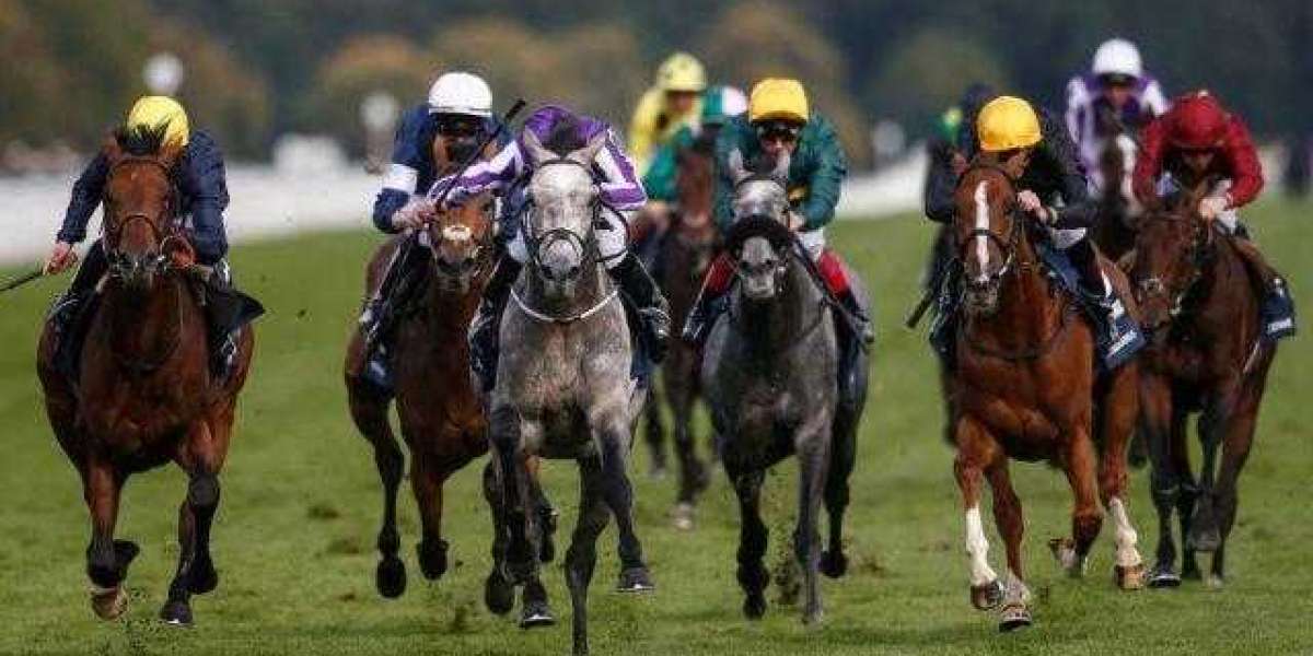 Global Horse Racing Market Size, Share, Analysis, 2030