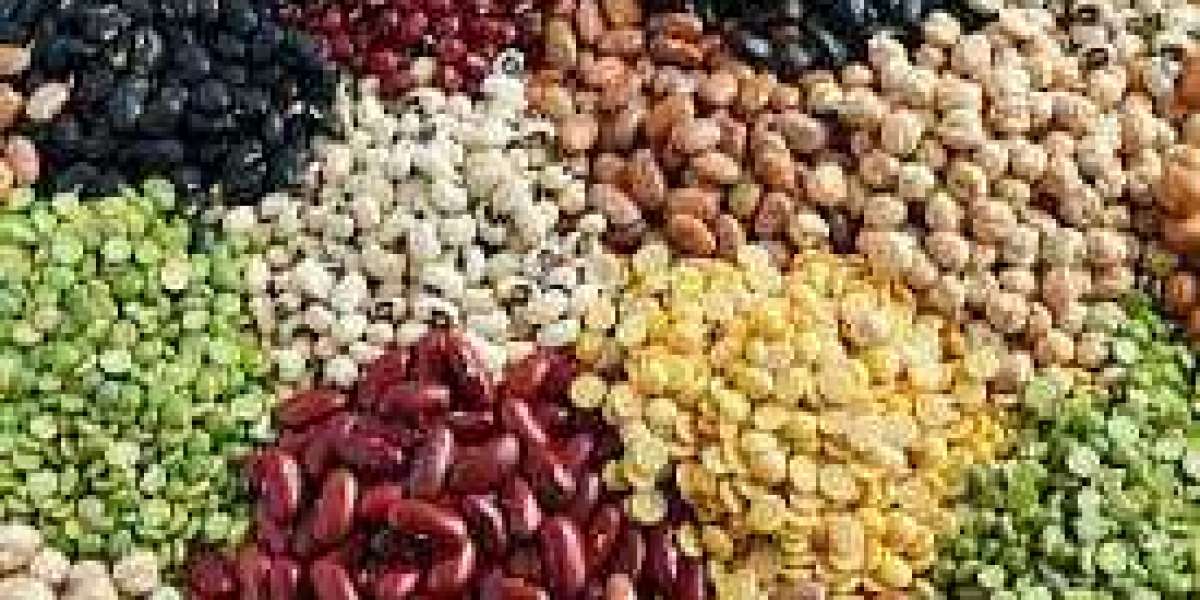Vegetable Seeds Market Survey Report 2023 Along with Statistics, Forecasts till 2029