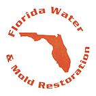 Mold Restoration From Central to South Florida | Florida Water & Mold