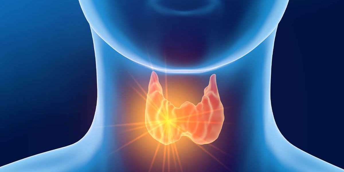 Hypothyroidism Market Outlook In the Coming Future & Competitors' Potential