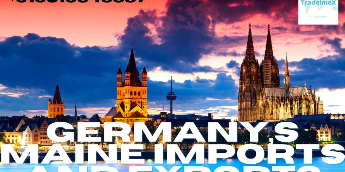 Understanding Germany's Imports